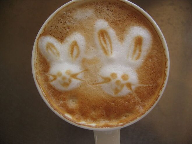 8c0891d0cfd024708ef5deb172ba648e