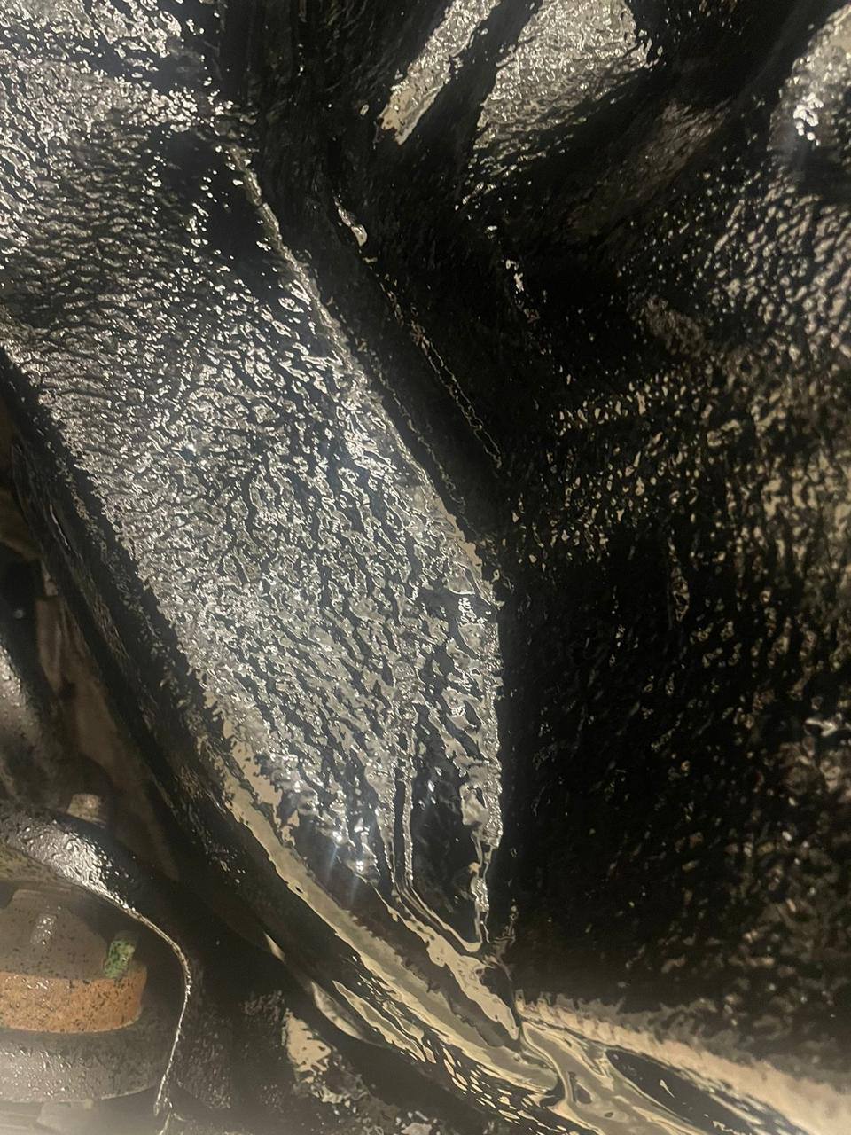 photo_2026-01-22_17-36-23