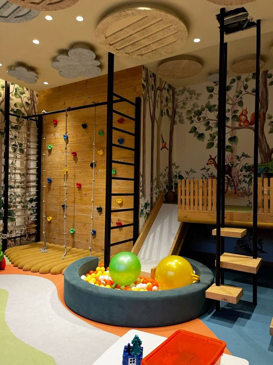 photo_2026-02-06_11-02-13