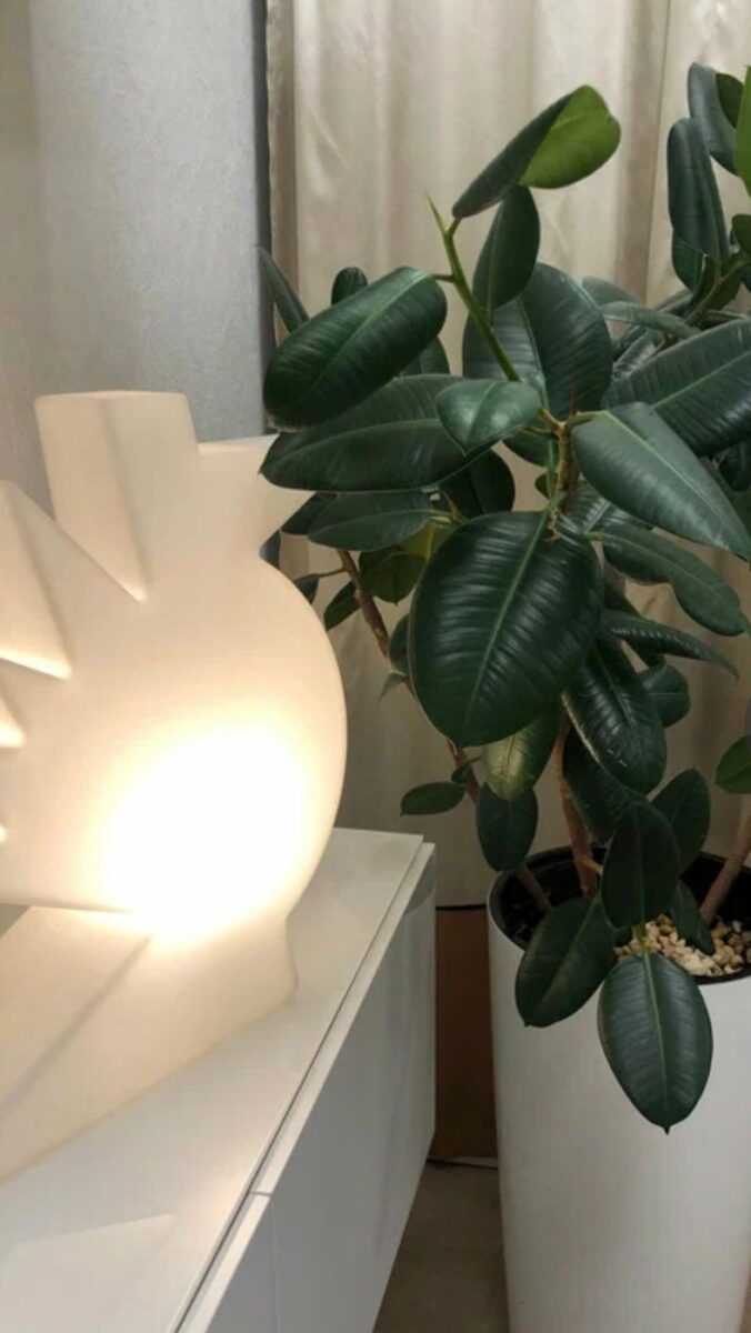 whatsapp-image-2025-09-11-at-18.42.26-2