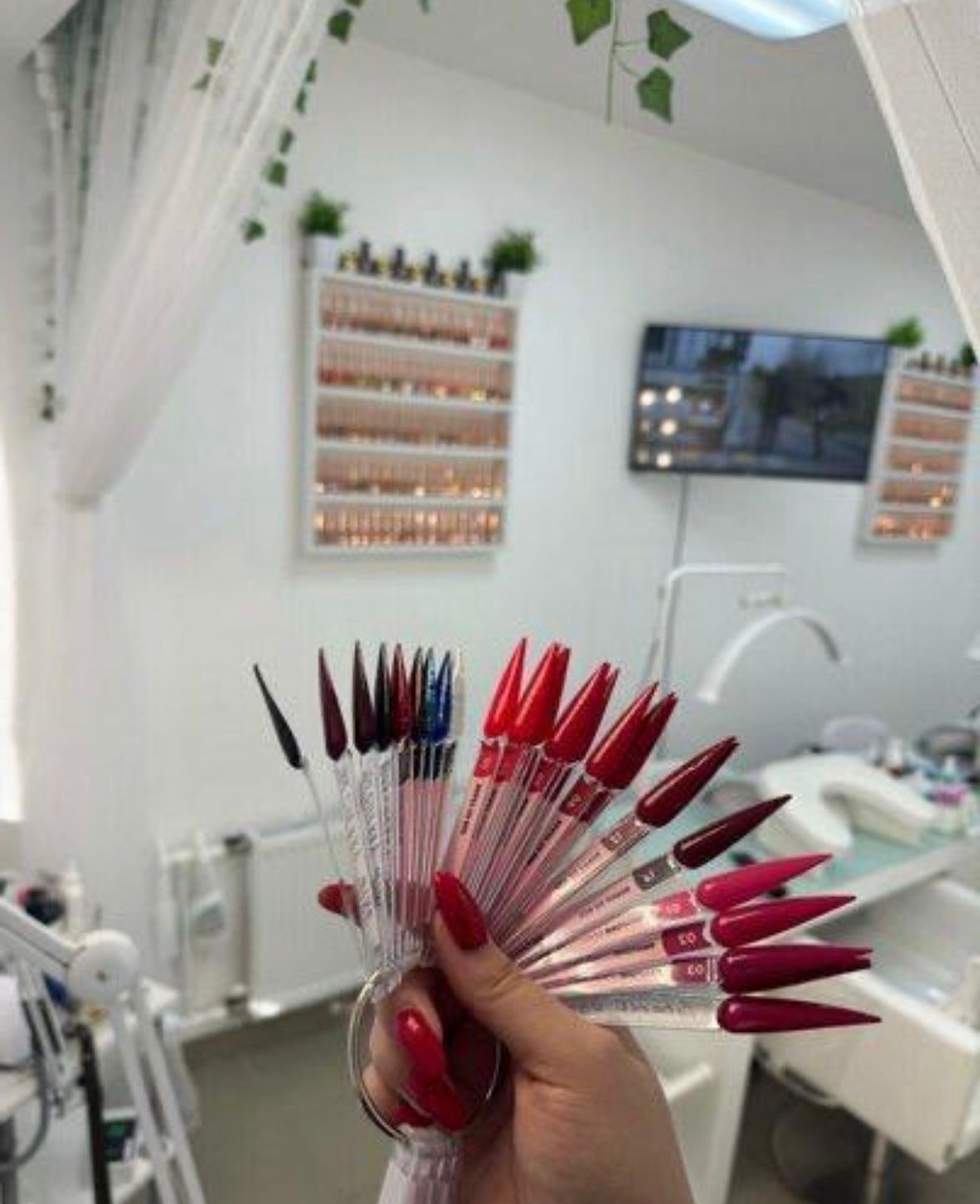 whatsapp-image-2025-09-22-at-14.33.07-1