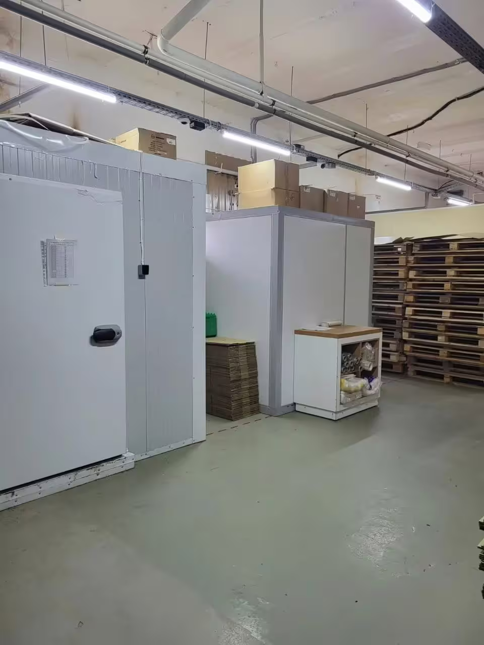 file.-7